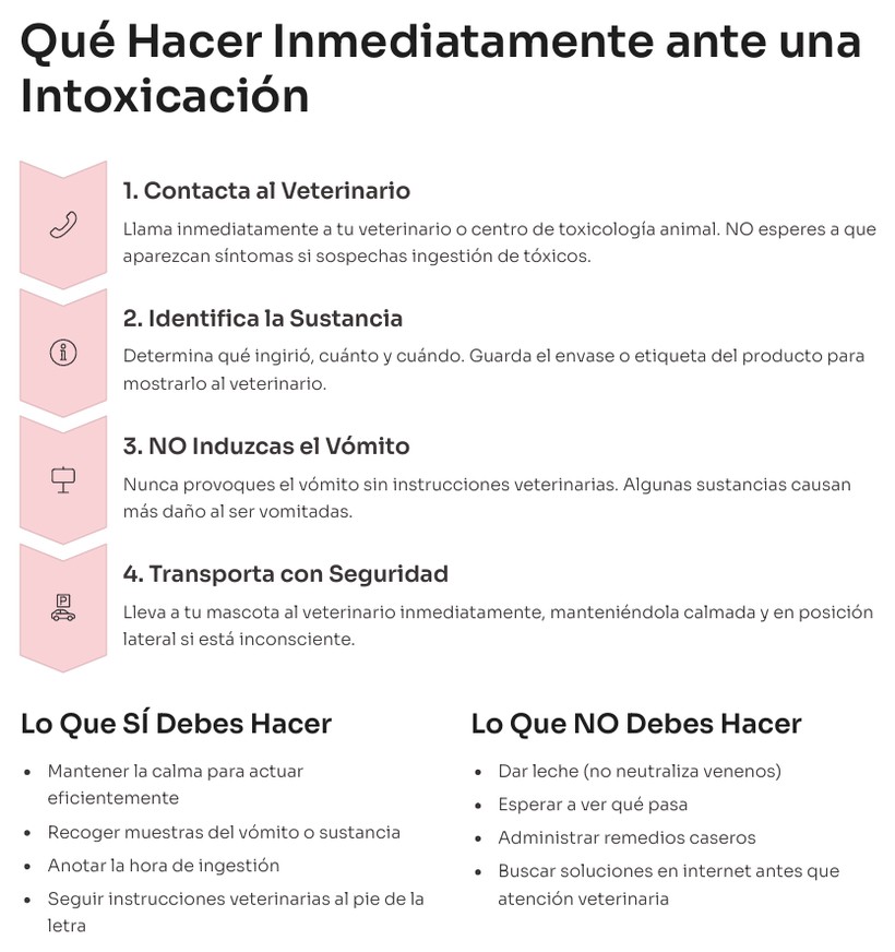 O que fazer numa intoxicação